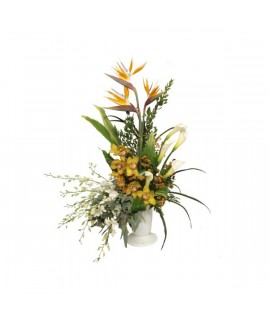 Arrangement Tropical gentleness